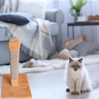 Pet Miyav® Kedi Pelüş Kare Tırmalama 40Cm