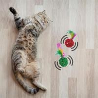 Pet Miyav® 2Li Rattan Renkli Peluş Tüy Kedi Köpek Oyuncak Yakalama Çiğneme Çıngıraklı Top Oyuncağı